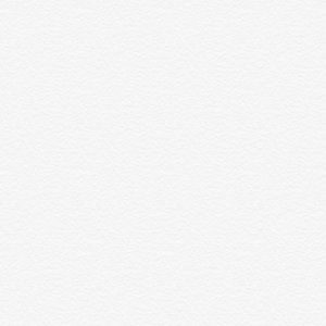 Meet your Posher, Bobby